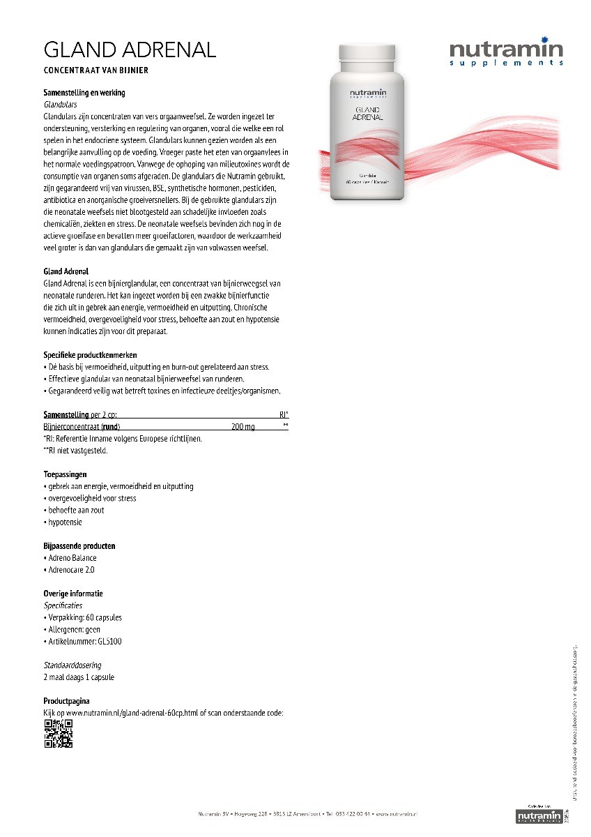 Gland Adrenal